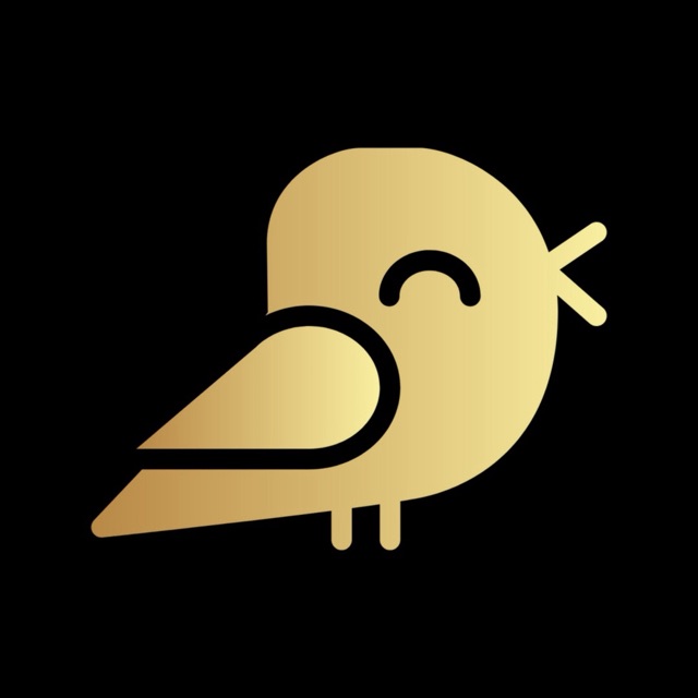 Morningbird Solutions Limited logo